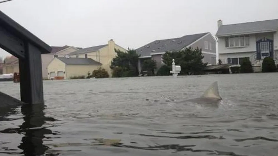 Ouragan Sandy : Les photos truquées les plus folles !