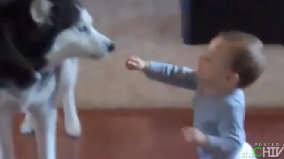 Conversation hilarante entre un bébé et un chien qui parle (Vidéo)