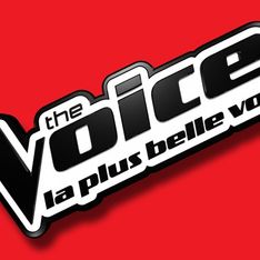 The Voice : Découvrez les stars qui participeront à la finale !