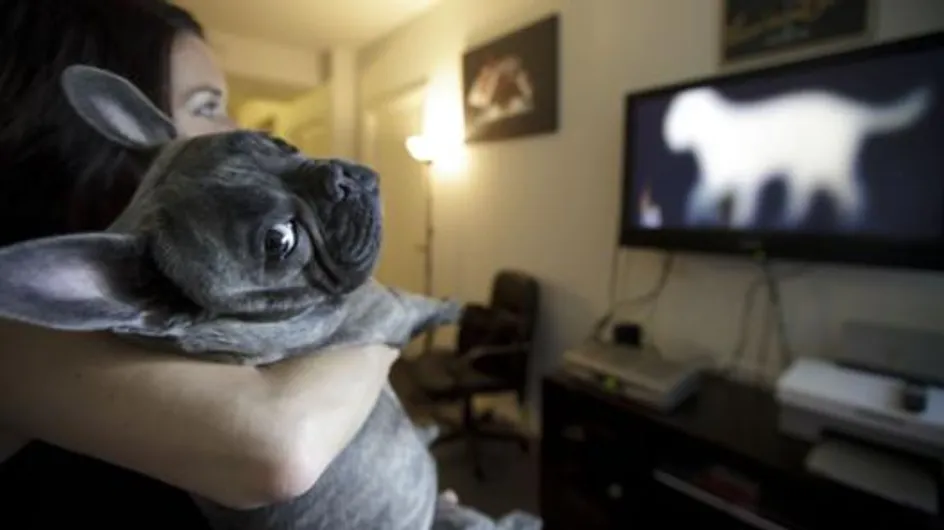 Dog TV : La chaîne qui a du chien