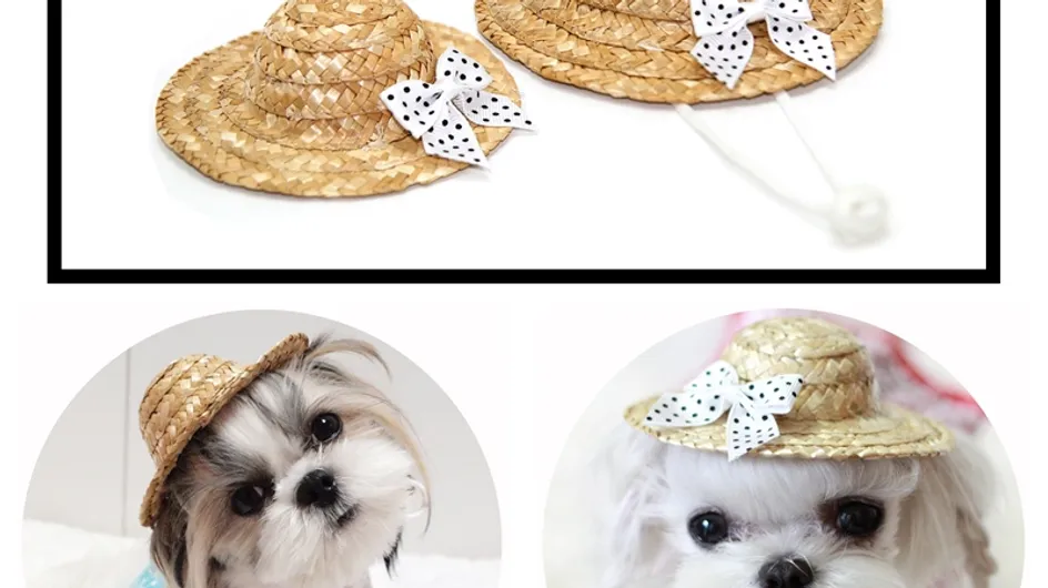 Cet été offrez un chapeau de paille à votre chien