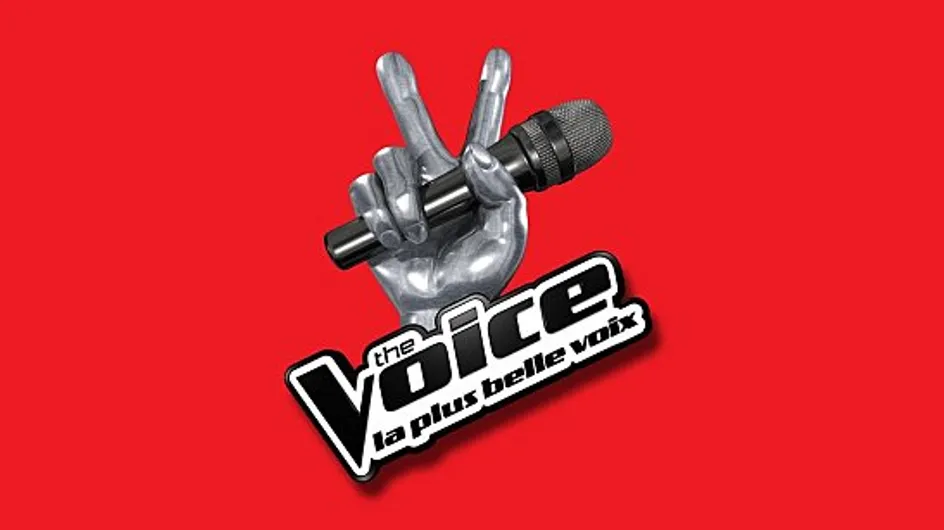 The Voice : Une nouvelle version pour l'année prochaine ?