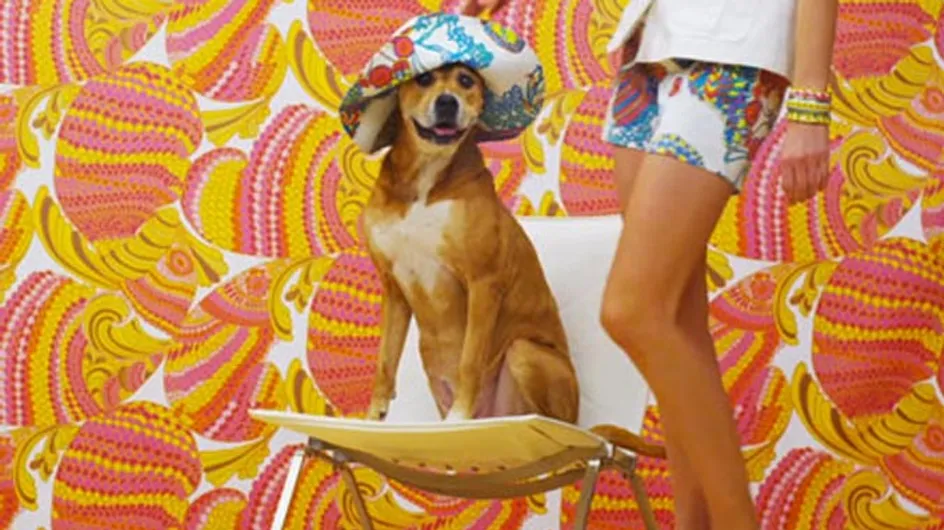 Banana Republic : Une nouvelle collection qui a du chien ! (Vidéo)