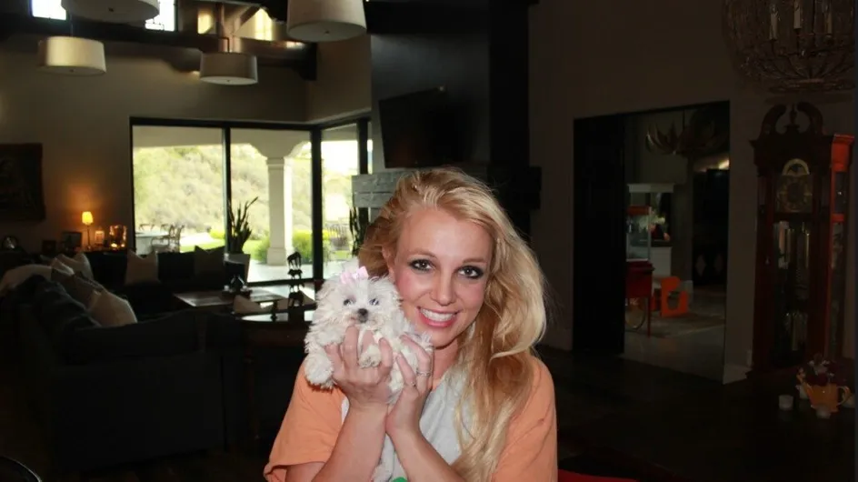 Britney Spears : Elle adopte ! (Photos)