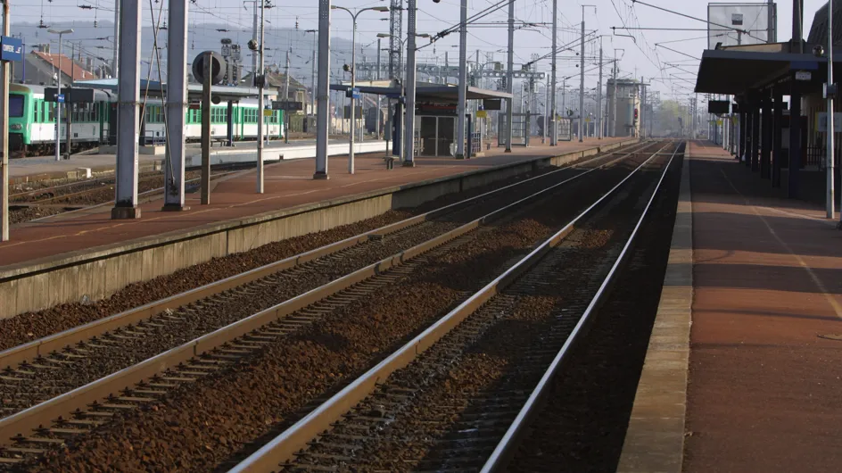 Grigny : Les passagers du RER D braqués