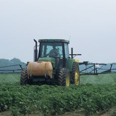 Pesticides : Les Français plus exposés que la moyenne