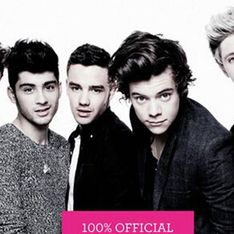One Direction book: Fans dying after Where We Are cover is released