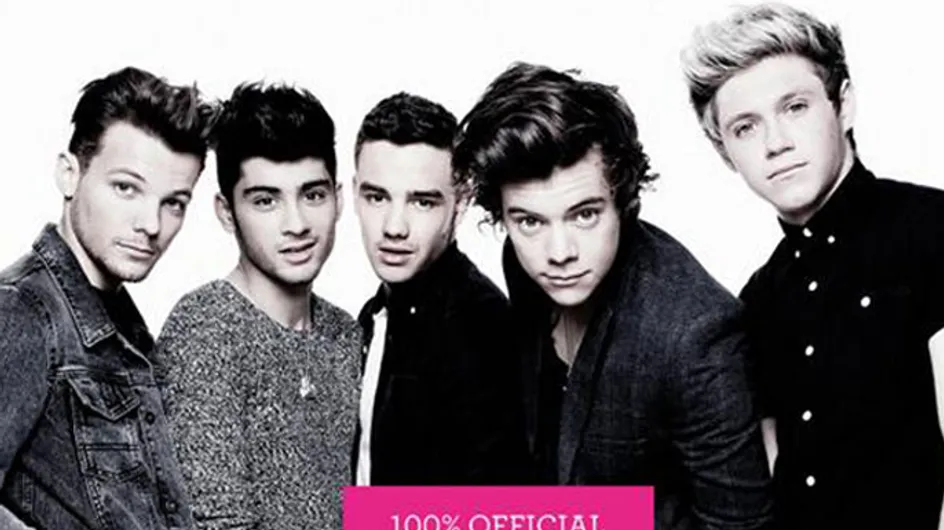 One Direction book: Fans "dying" after Where We Are cover is released