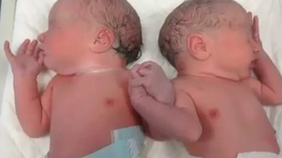 A peine nés, ces jumeaux se tiennent déjà la main ! (Photo et vidéo)