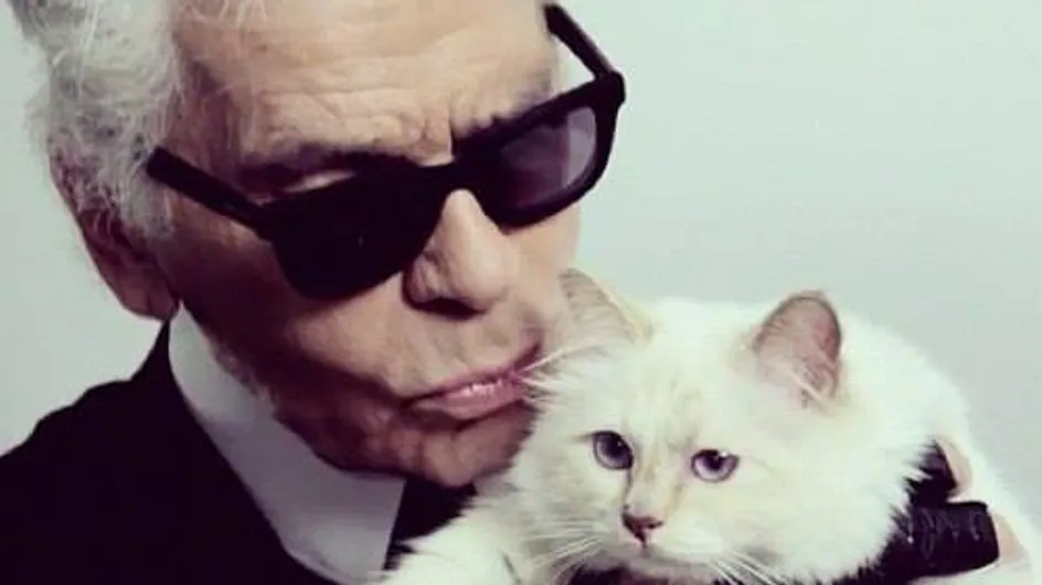 Karl Lagerfeld : Il veut se marier avec Choupette (son chat)