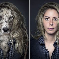 Un photographe met des chiens dans la peau de leurs maîtres