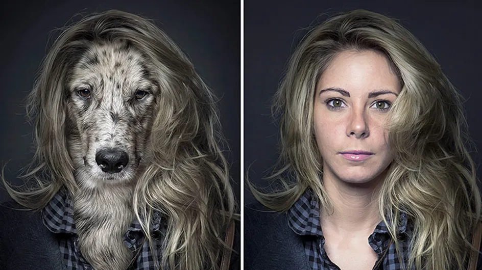Un photographe met des chiens dans la peau de leurs maîtres