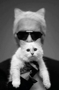 Karl Lagerfeld & Choupette