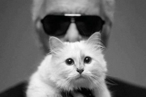 Karl Lagerfeld & Choupette