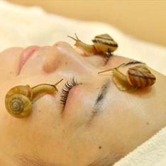 Un soin du visage avec des escargots vivants