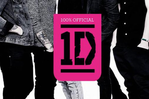 One Direction book cover