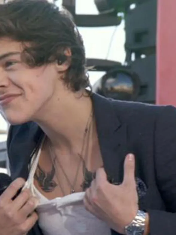 Harry Styles admits his tattoos are "crap"