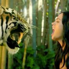 PETA slam Katy Perry for using live animals in the video for hit single Roar
