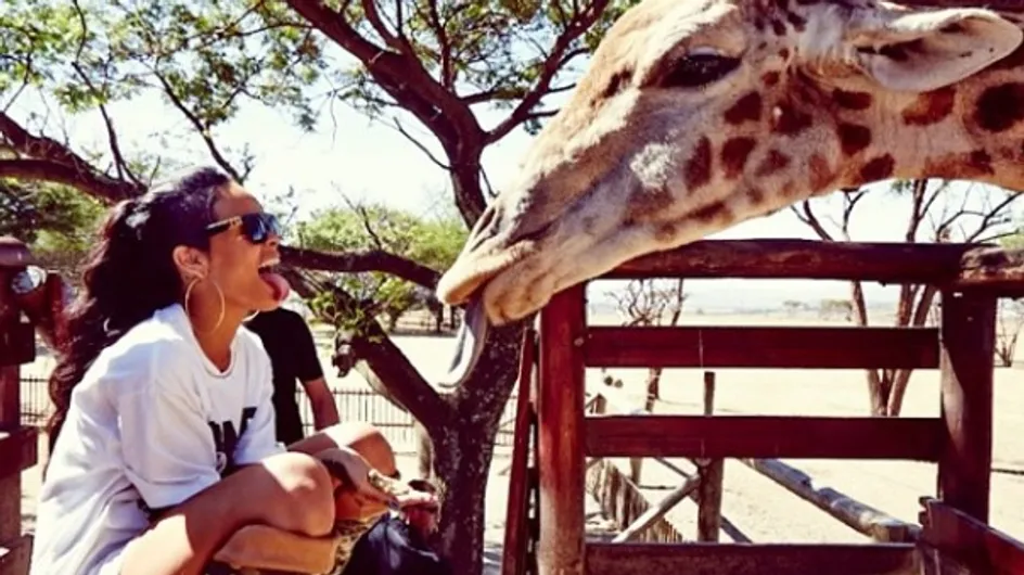 Rihanna : Son safari en Afrique du Sud (Photos)