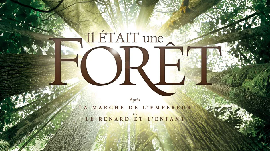 « Il Était une forêt » : les forêts primaires, émouvantes et menacées.