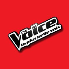 The Voice 3 : Découvrez la première photo des auditions