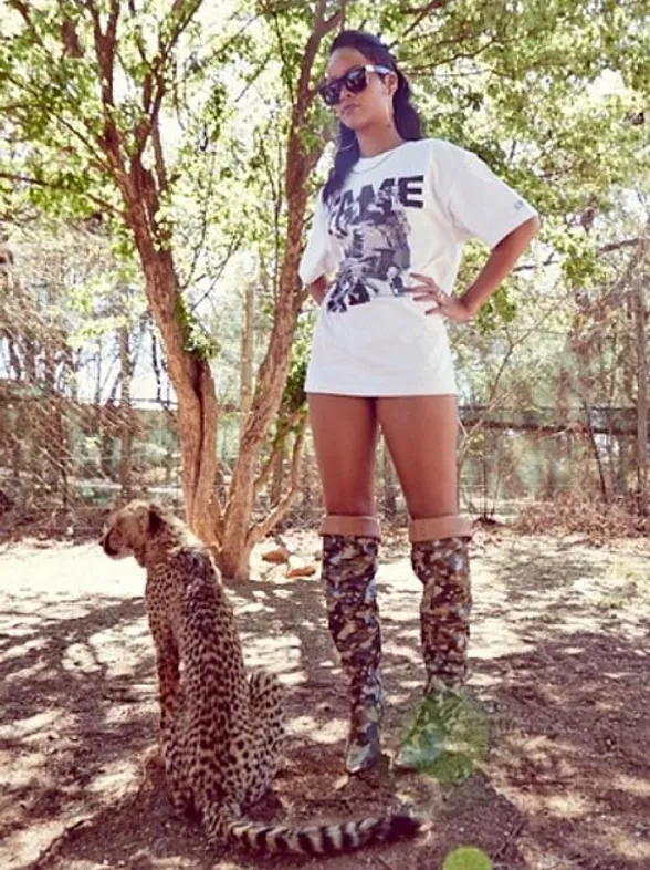 Rihanna alquila su casa de California