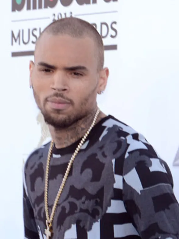 Chris Brown kicked out of rehab for allegedly throwing rock at mum’s car