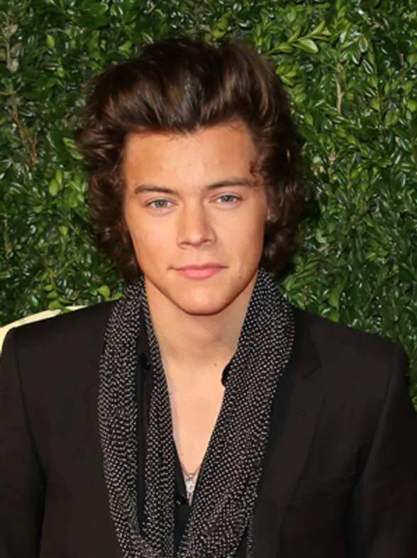 Harry Styles wins British Style Award at the British Fashion Awards 2013