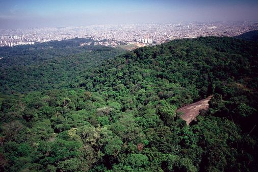 Vista da Pedra Grande