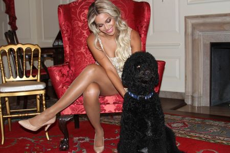 Beyoncé con el perro de la familia Obama, Sunny