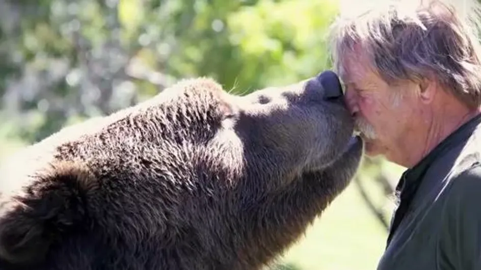 Insolite : Oseriez-vous câliner ce grizzli ? (Vidéo)