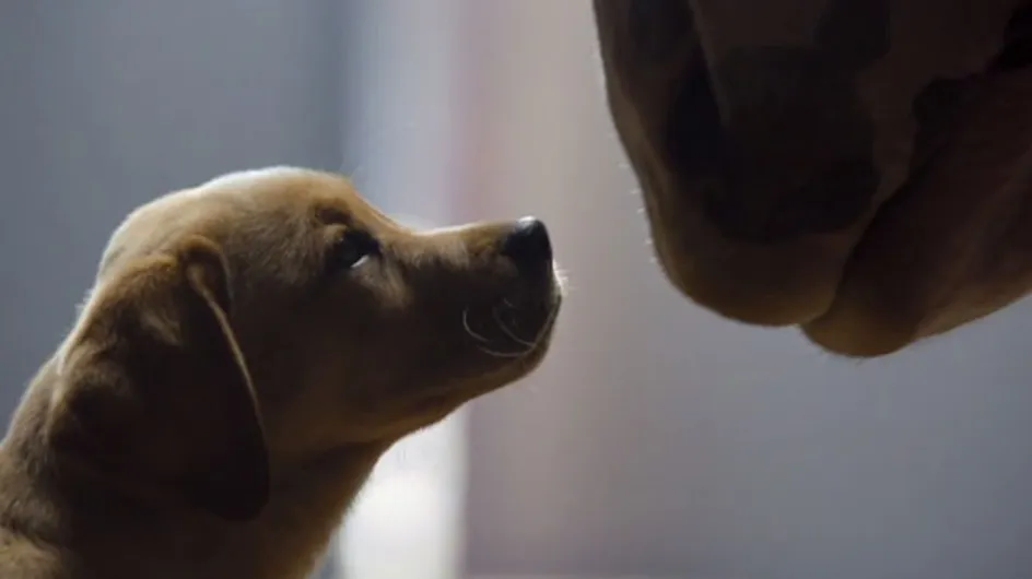 The Most Heartwarming And Generally Epic Adverts Of All Time