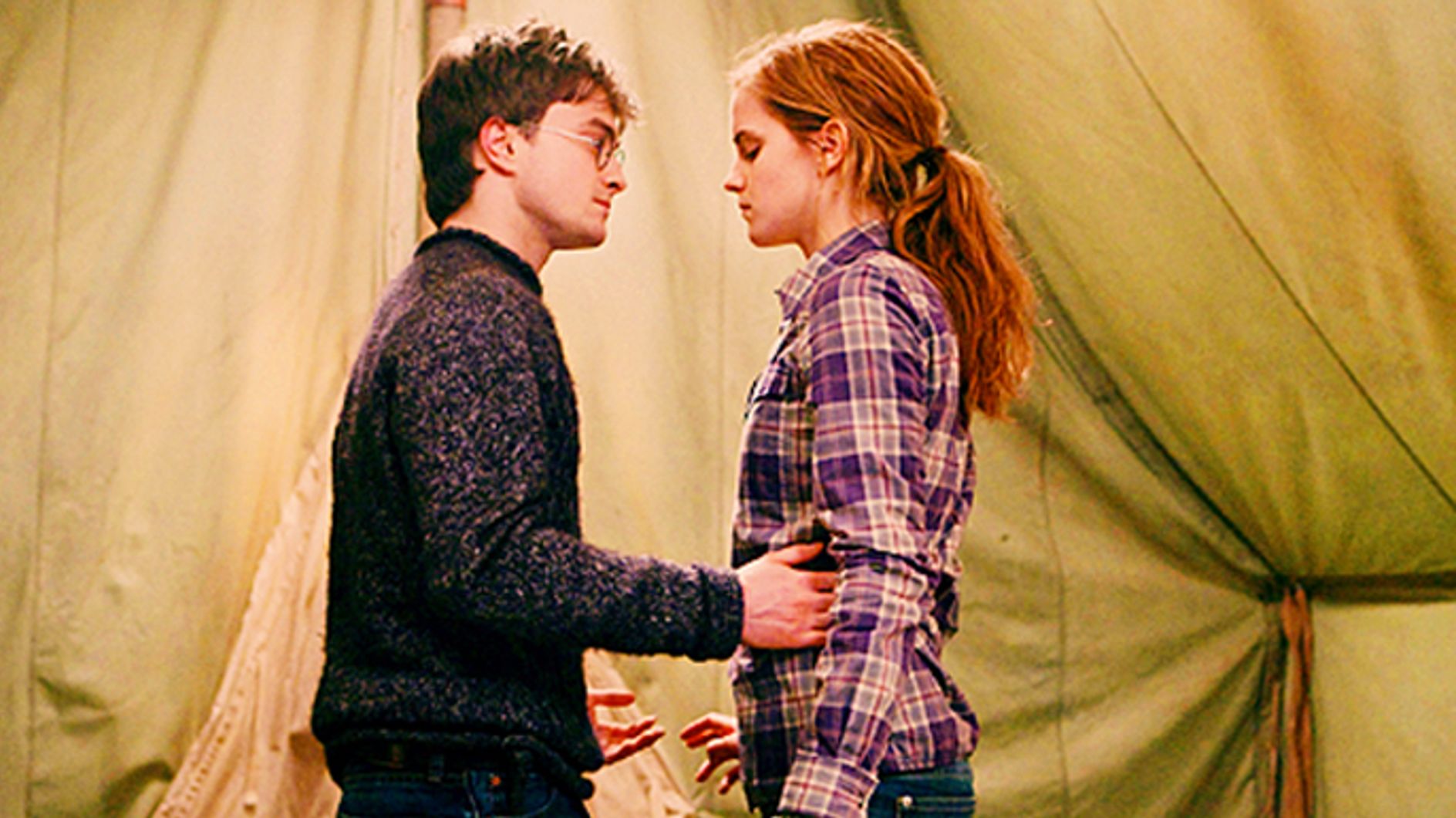 Harry And Hermione Hook Up And Other Things That Should Have Happened In Harry Potter 7181