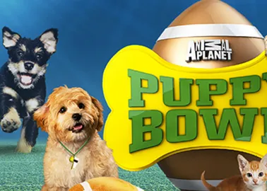 puppy bowl ix logo