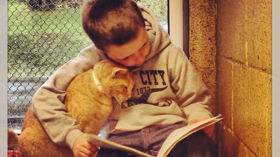 Pause tendresse : Des enfants viennent faire la lecture à des chats abandonnés (photos)
