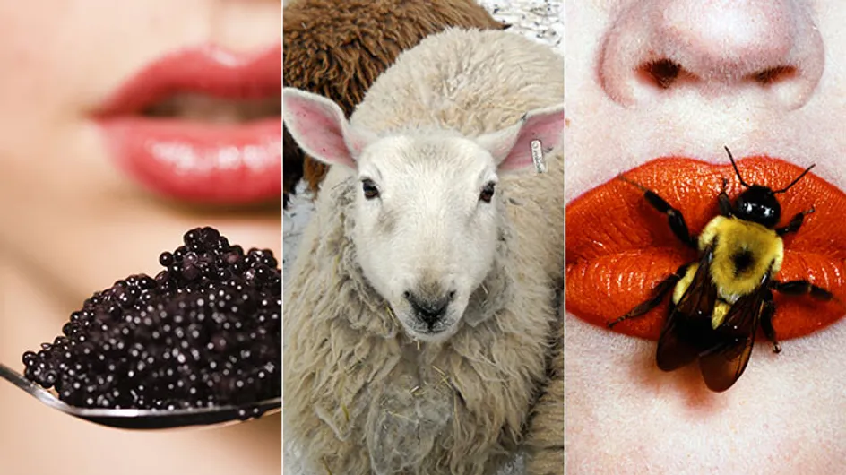 Sheep Placenta? Vaginal steaming? Bee Venom? The Most Extreme & Unusual Beauty Treatments Ever