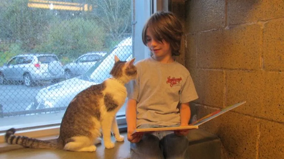 Momentos tiernos: unos niños aprenden a leer junto a gatitos abandonados