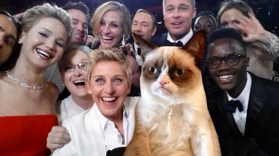 Oscars 2014 : Grumpy Cat, Patrick l’étoile de mer et la pizza s’invitent sur le selfie d’Ellen DeGeneres