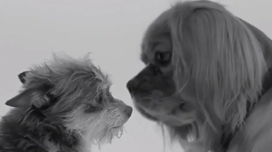 "First Kiss" : les parodies alléchantes de la vidéo