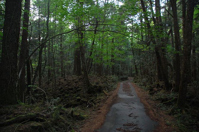 El bosque de los suicidios