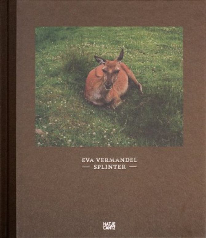 Splinter - Eva Vermandel