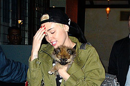 Miley Cyrus und Moonie