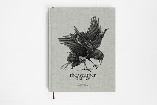The Weather Diaries