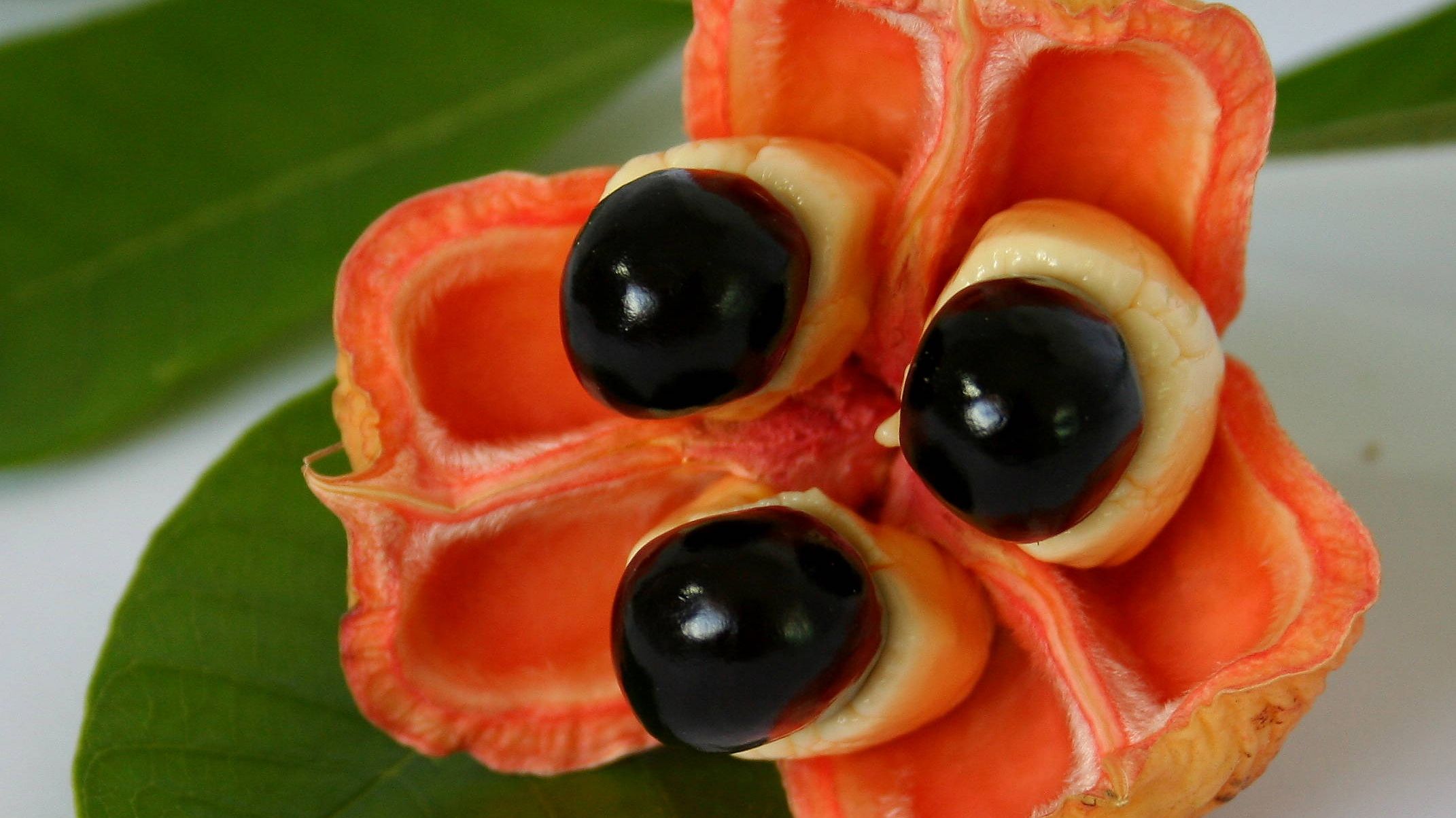 Ядовитые фрукты