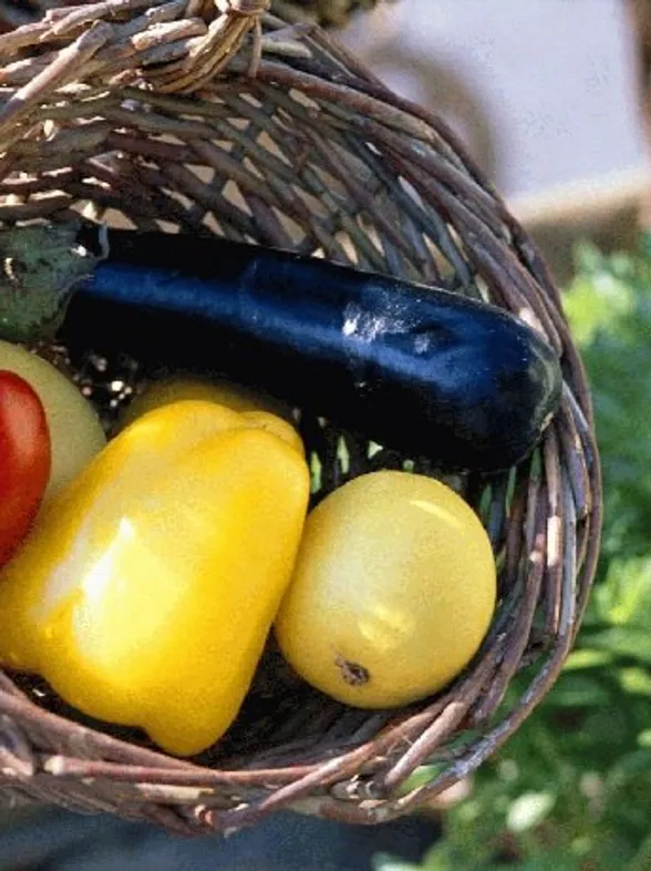 Verduras: las combinaciones adecuadas