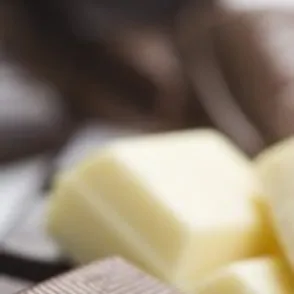 Todo sobre el chocolate