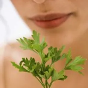 Cultivar plantas aromáticas