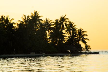 Kapingamarangi