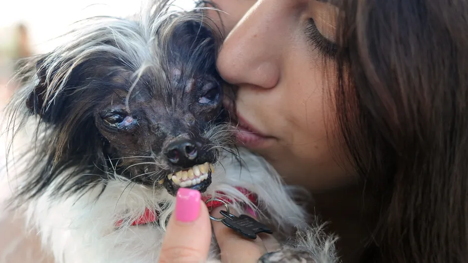 El perro más feo del mundo lucha contra el maltrato animal
