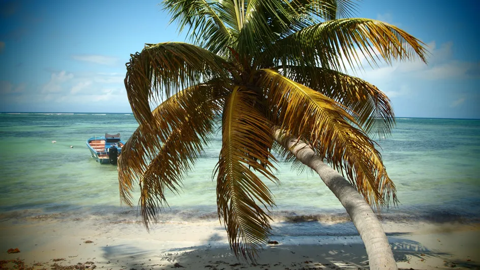 Vacances en Guadeloupe : quel hôtel choisir ?